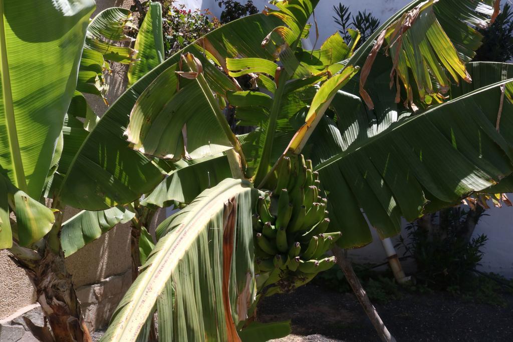 3C Fuerteventura Βίλα Κόστα Κάλμα Εξωτερικό φωτογραφία